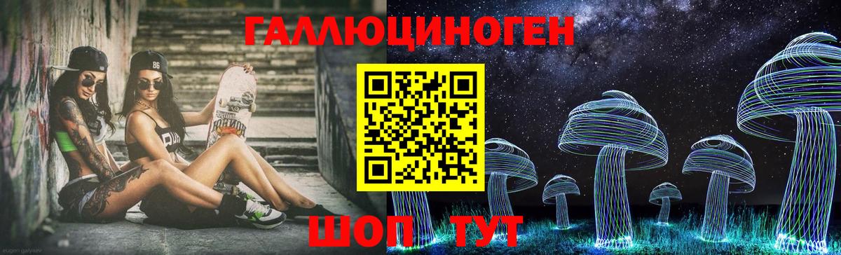 Псилоцибиновые грибы GOLDEN TEACHER  Вход с VPN  Псилоцибиновые грибы ЛСД  Новоалтайск 